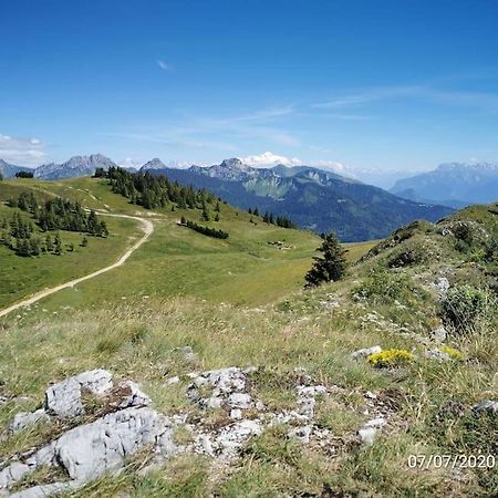 Appartement Montagne La Vallee Verte Coeur Station Hirmentaz Bellevaux Eksteriør billede