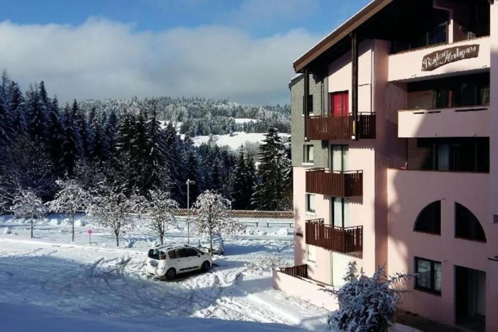 Appartement Montagne La Vallee Verte Coeur Station Hirmentaz Bellevaux Eksteriør billede