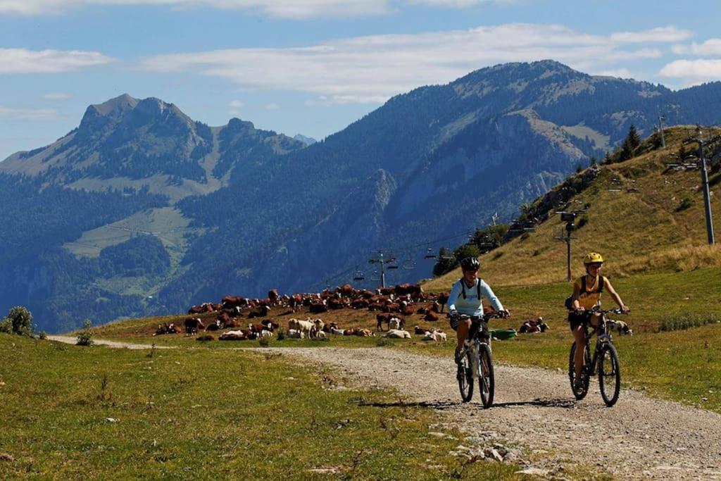 Appartement Montagne La Vallee Verte Coeur Station Hirmentaz Bellevaux Eksteriør billede