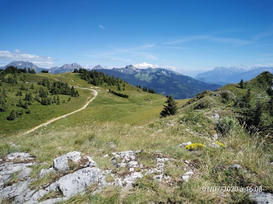Appartement Montagne La Vallee Verte Coeur Station Hirmentaz Bellevaux Eksteriør billede